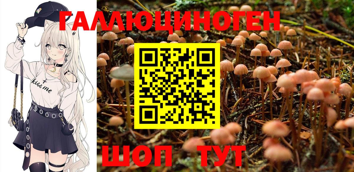 Алапаевск  Псилоцибиновые грибы MAGIC MUSHROOMS  Вход с VPN 