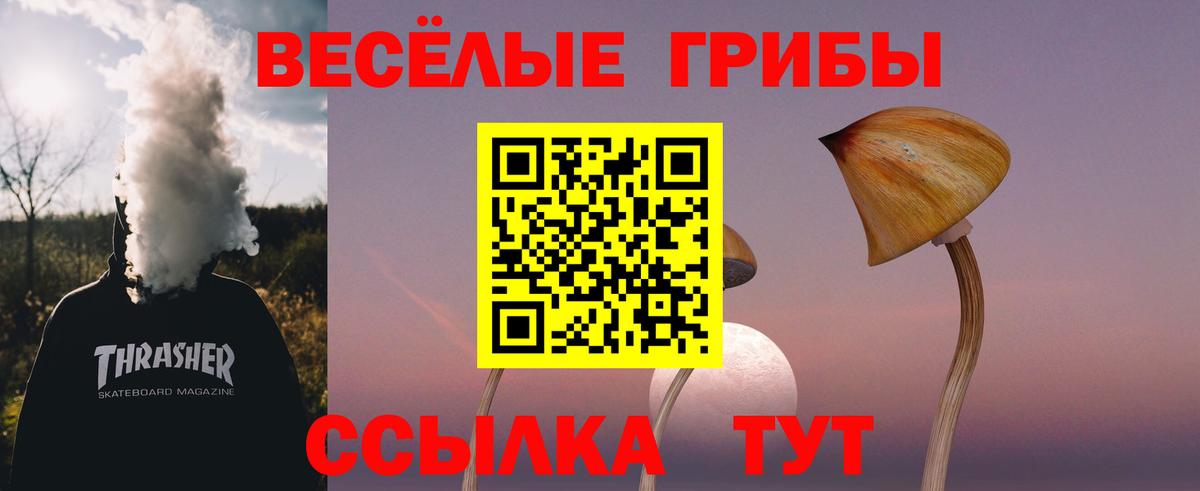 Псилоцибиновые грибы Psilocybe Алапаевск